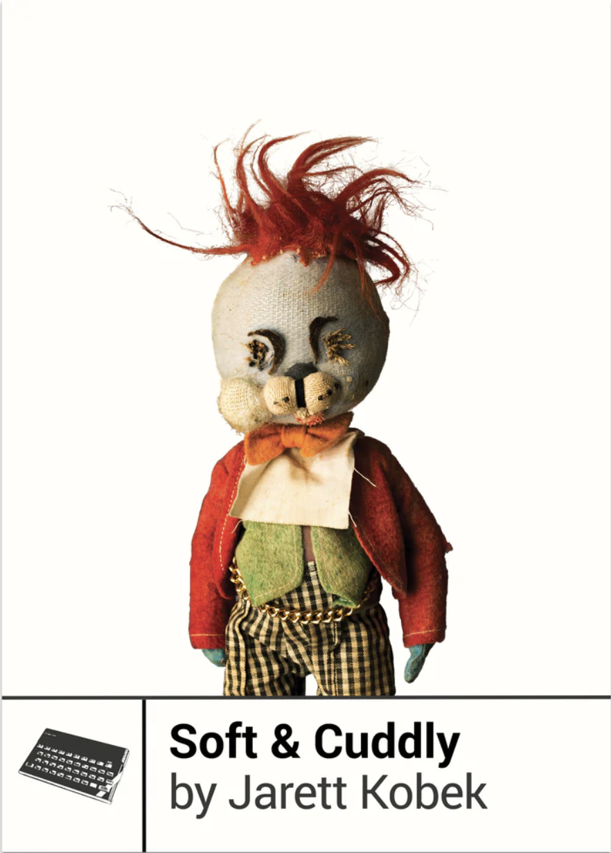 Soft and Cuddly by Jarett Kobek: Book Review — accordion sprout